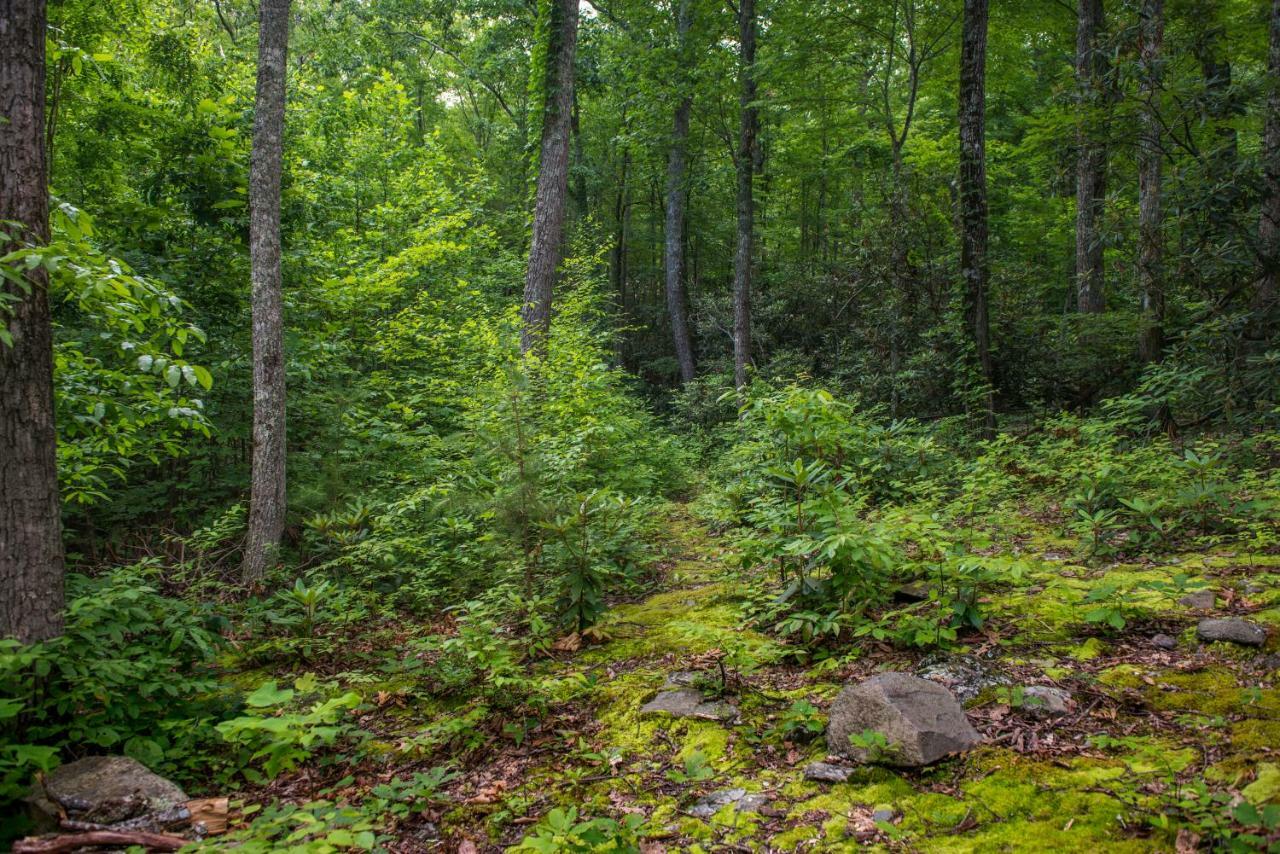 Villa Chief Big Log Hatchertown Esterno foto